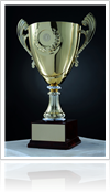 Personalized Trophies in San Jose by JB Trophies & Custom Frames